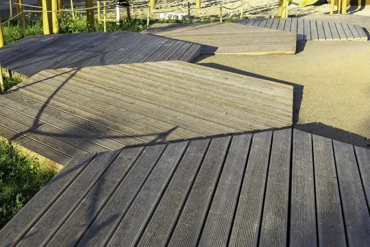 Taras modrzew  Park linearny Ursynow