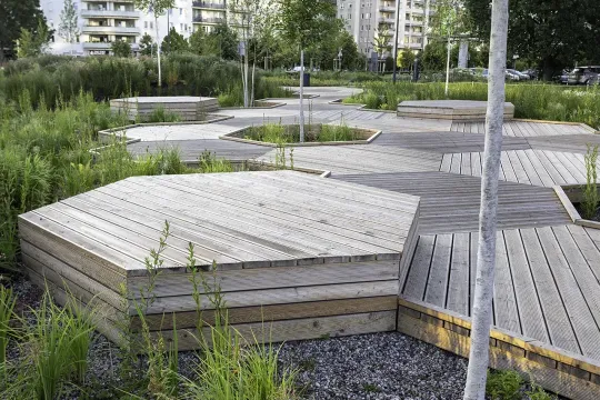 Taras modrzew  Park linearny Ursynow