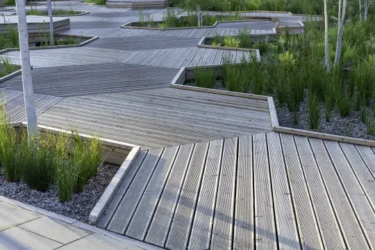Taras modrzew  Park linearny Ursynow