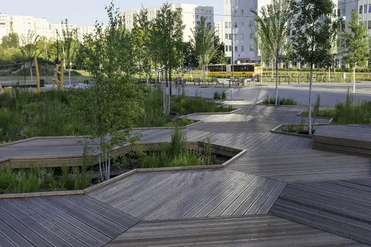 Taras modrzew  Park linearny Ursynow