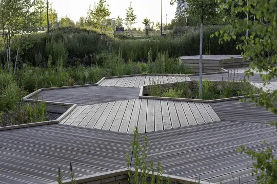 Taras modrzew  Park linearny Ursynow