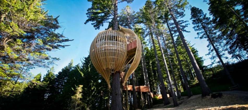 TREEHOUSE – GIĘTE ŁUKI KLEJONE