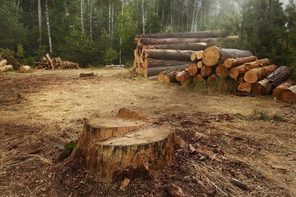 BRAKARZ – OBOWIĄZKI, KWALIFIKACJE, ZAROBKI