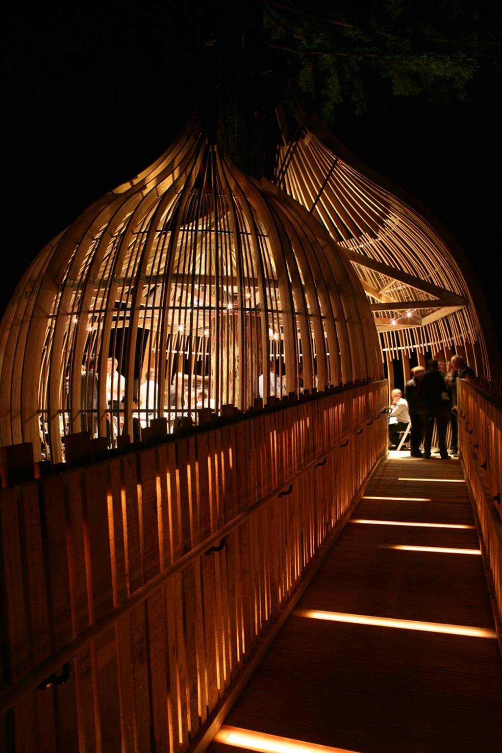 Treehouse Treehouse