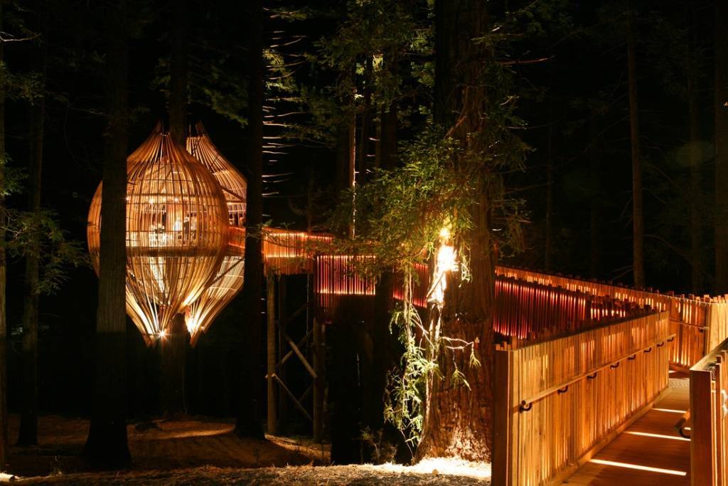 Treehouse Treehouse