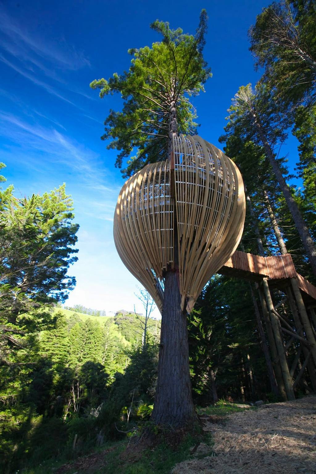 Treehouse Treehouse
