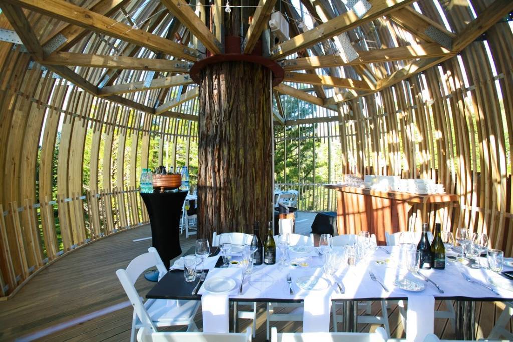 Treehouse Treehouse