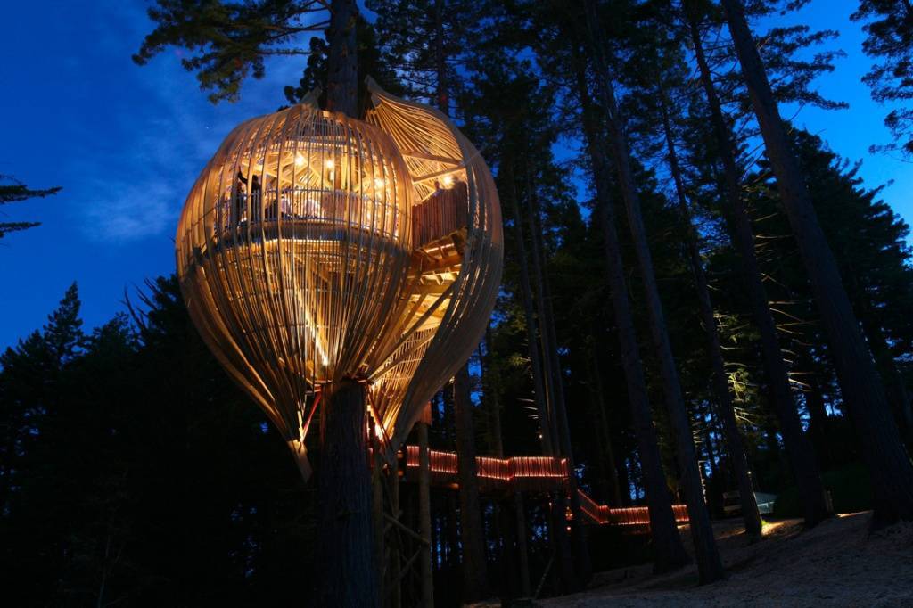 Treehouse Treehouse
