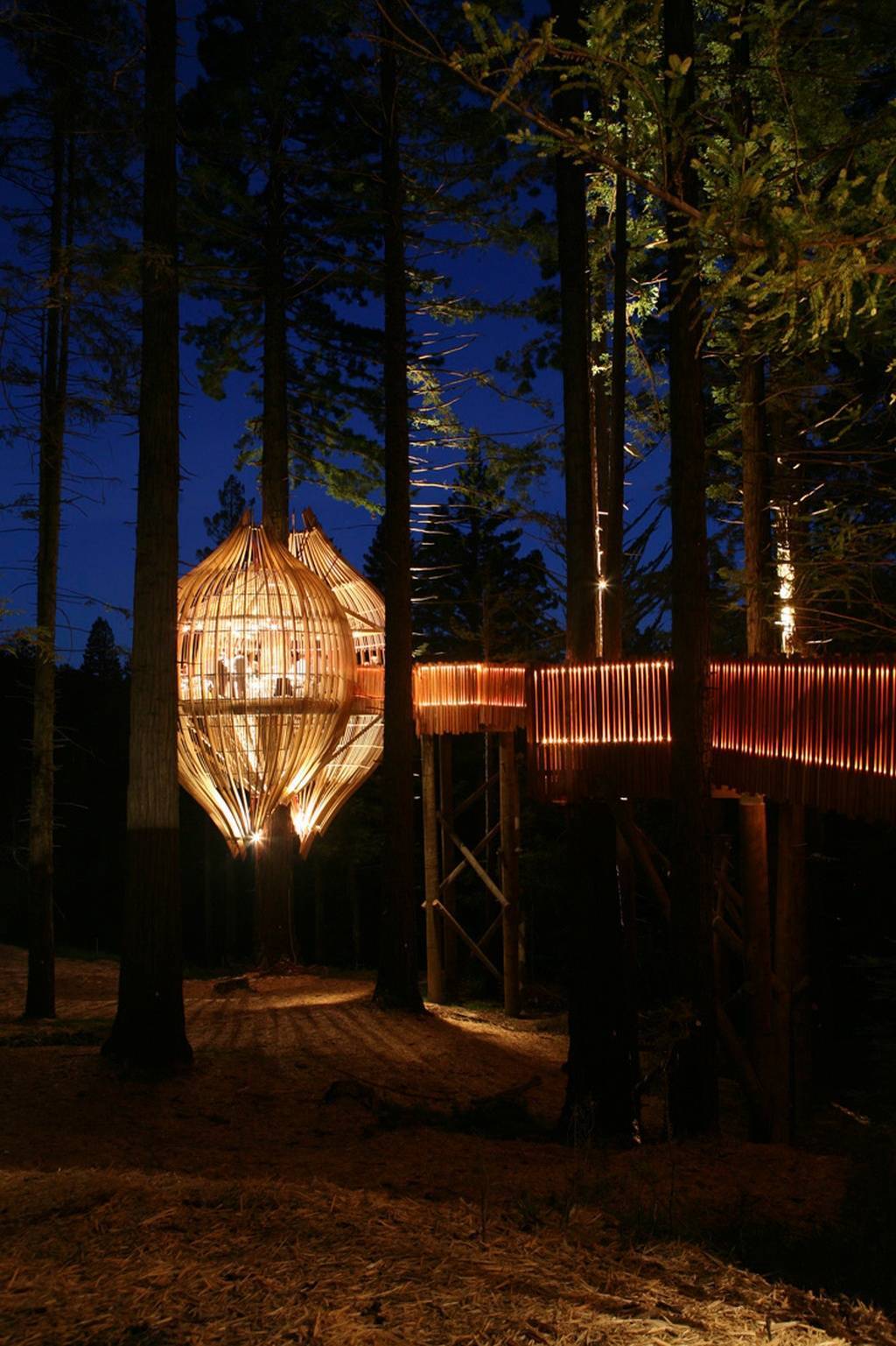 Treehouse Treehouse