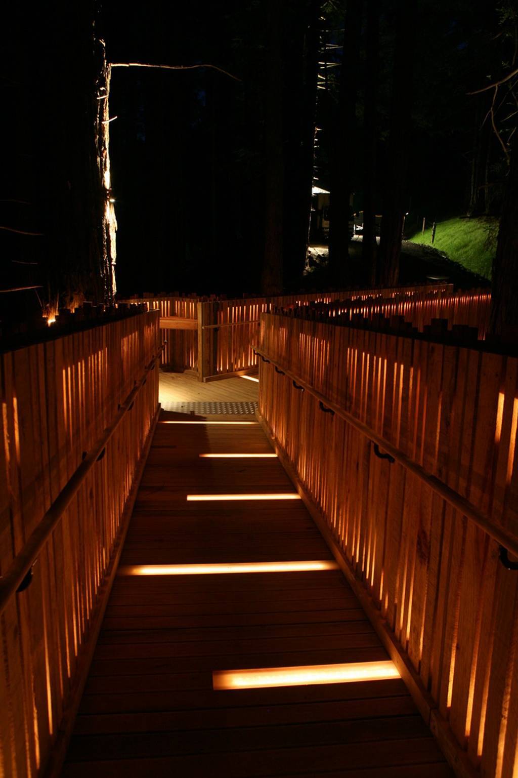 Treehouse Treehouse